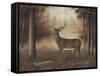 Autumn Buck-Robert Wavra-Framed Stretched Canvas