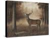 Autumn Buck-Robert Wavra-Stretched Canvas