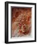 Autumn Bunch-Pol Ledent-Framed Art Print