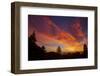 Autumn Burn - Sunset Sky and Tree Over Berkeley-Vincent James-Framed Photographic Print