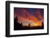 Autumn Burn - Sunset Sky and Tree Over Berkeley-Vincent James-Framed Photographic Print