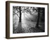 Autumn Burst-Doug Chinnery-Framed Photographic Print