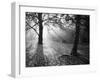Autumn Burst-Doug Chinnery-Framed Photographic Print