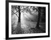 Autumn Burst-Doug Chinnery-Framed Photographic Print