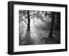 Autumn Burst-Doug Chinnery-Framed Photographic Print