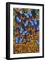 Autumn Butterflies-Graeme Stevenson-Framed Giclee Print