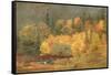 Autumn by the Brook, 1855-Jasper Francis Cropsey-Framed Stretched Canvas