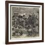 Autumn Campaign on Dartmoor-null-Framed Giclee Print