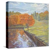 Autumn Cherry Trees-Judy Mastrangelo-Stretched Canvas