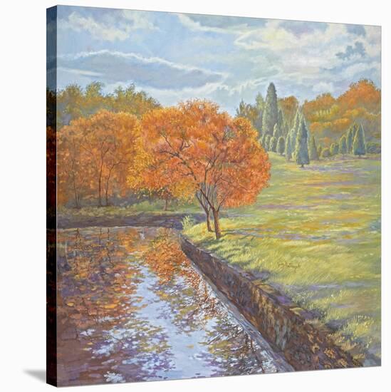 Autumn Cherry Trees-Judy Mastrangelo-Stretched Canvas