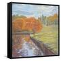 Autumn Cherry Trees-Judy Mastrangelo-Framed Stretched Canvas