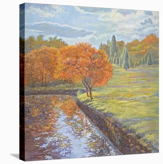 Autumn Cherry Trees-Judy Mastrangelo-Stretched Canvas