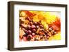 Autumn Chestnuts on Autumn Leaves-Nikolay Etsyukevich-Framed Photographic Print