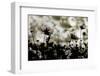 Autumn Chorus-Keisuke Ikeda @-Framed Photographic Print