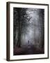 Autumn Cloud-Craig Roberts-Framed Photographic Print