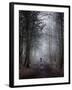 Autumn Cloud-Craig Roberts-Framed Photographic Print