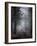 Autumn Cloud-Craig Roberts-Framed Photographic Print