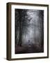 Autumn Cloud-Craig Roberts-Framed Photographic Print