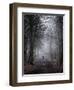 Autumn Cloud-Craig Roberts-Framed Photographic Print