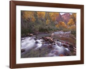 Autumn Color 1-Ken Bremer-Framed Giclee Print