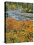 Autumn Color along Imnaha River-Steve Terrill-Stretched Canvas
