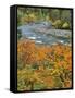 Autumn Color along Imnaha River-Steve Terrill-Framed Stretched Canvas