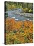 Autumn Color along Imnaha River-Steve Terrill-Stretched Canvas