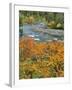 Autumn Color along Imnaha River-Steve Terrill-Framed Photographic Print