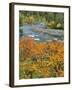 Autumn Color along Imnaha River-Steve Terrill-Framed Photographic Print