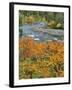 Autumn Color along Imnaha River-Steve Terrill-Framed Photographic Print