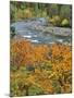 Autumn Color along Imnaha River-Steve Terrill-Mounted Photographic Print