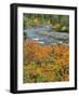 Autumn Color along Imnaha River-Steve Terrill-Framed Photographic Print