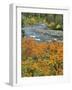 Autumn Color along Imnaha River-Steve Terrill-Framed Photographic Print