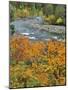 Autumn Color along Imnaha River-Steve Terrill-Mounted Photographic Print