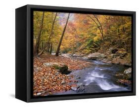 Autumn Color Along River-James Randklev-Framed Stretched Canvas