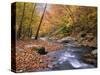 Autumn Color Along River-James Randklev-Stretched Canvas