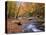 Autumn Color Along River-James Randklev-Stretched Canvas