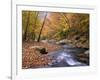 Autumn Color Along River-James Randklev-Framed Photographic Print