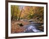 Autumn Color Along River-James Randklev-Framed Photographic Print