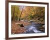 Autumn Color Along River-James Randklev-Framed Photographic Print