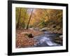 Autumn Color Along River-James Randklev-Framed Photographic Print