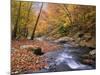 Autumn Color Along River-James Randklev-Mounted Photographic Print