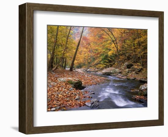 Autumn Color Along River-James Randklev-Framed Photographic Print