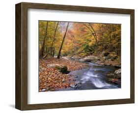 Autumn Color Along River-James Randklev-Framed Photographic Print