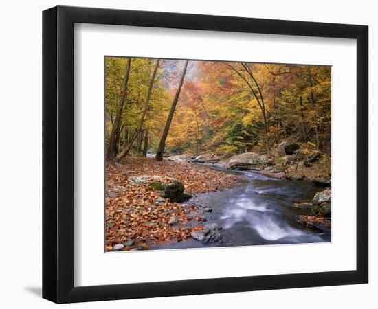 Autumn Color Along River-James Randklev-Framed Photographic Print