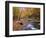 Autumn Color Along River-James Randklev-Framed Photographic Print