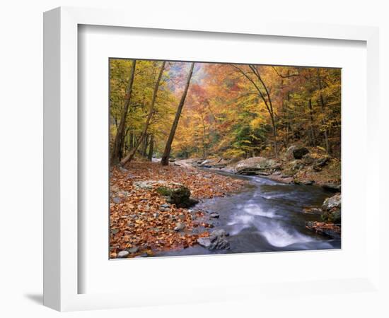 Autumn Color Along River-James Randklev-Framed Photographic Print