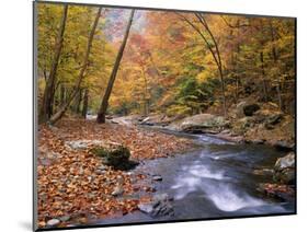 Autumn Color Along River-James Randklev-Mounted Photographic Print