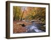 Autumn Color Along River-James Randklev-Framed Photographic Print