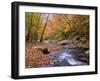 Autumn Color Along River-James Randklev-Framed Photographic Print